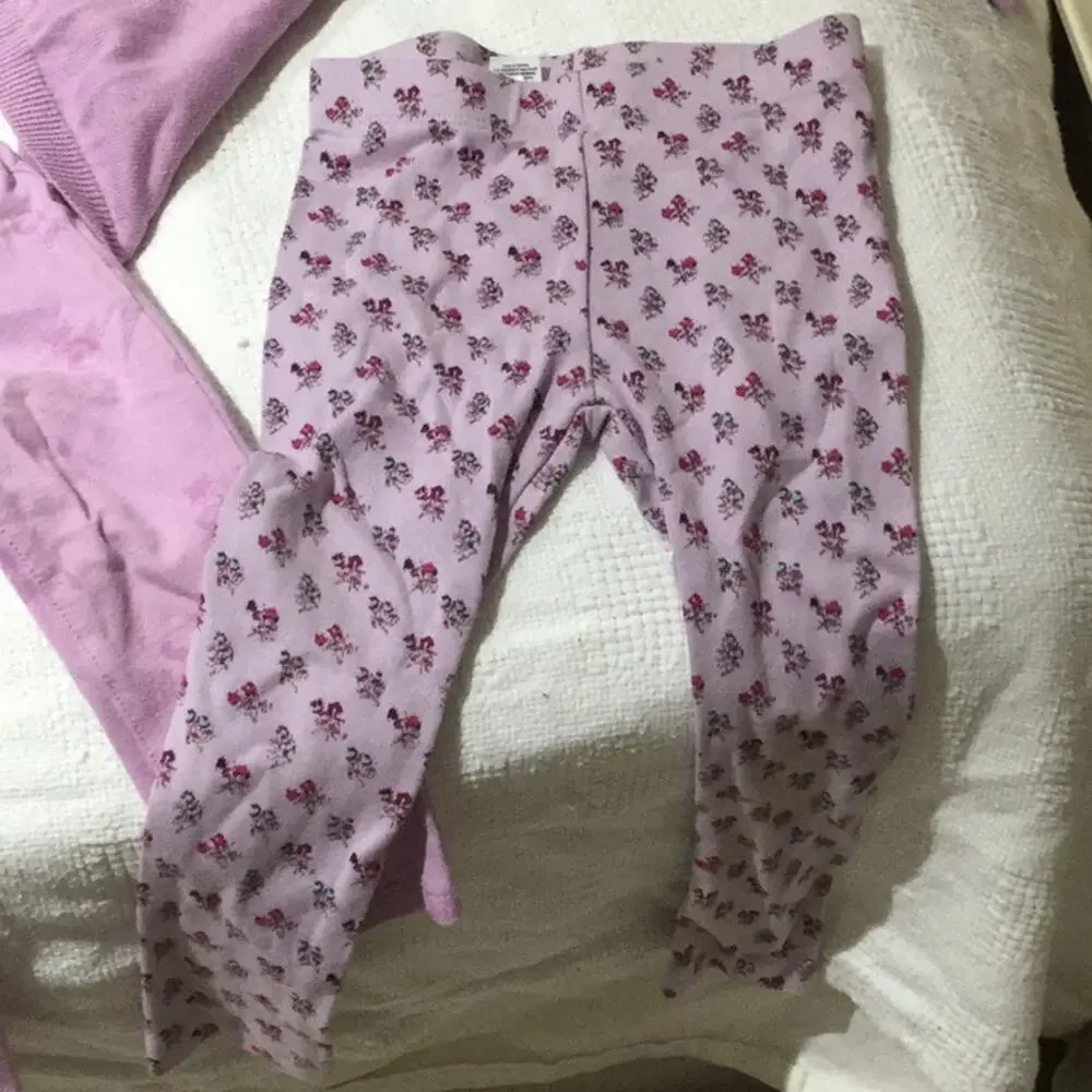 Lavander Fox sweater leggings bundle 18-24…